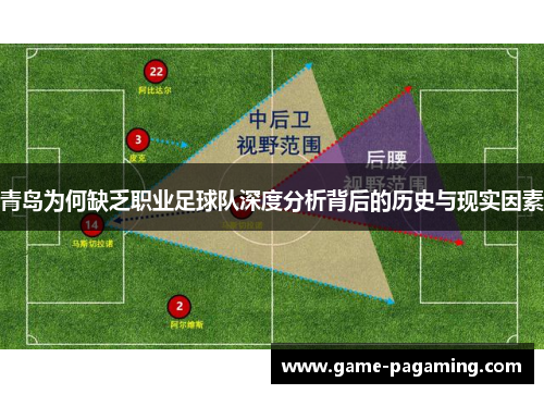 青岛为何缺乏职业足球队深度分析背后的历史与现实因素 青岛为何缺乏职业足球队深度分析背后的历史与现实因素